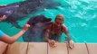 Dolphin Elated By Kisses