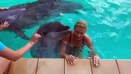 Dolphin Elated By Kisses