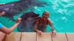 Dolphin Elated By Kisses