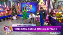 Perrita ‘Dachi’ tiene nueva familia tras sobrevivir a brutal agresión