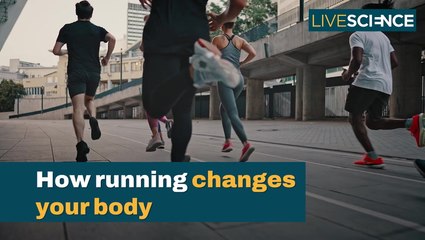 Transform Your Body: The Surprising Benefits of Running 🏃‍♂️