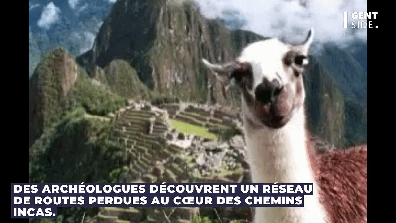 Des archéologues découvrent un réseau de routes perdues au cœur des Chemins incas