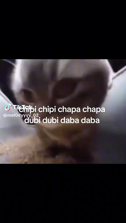 chipi chapa