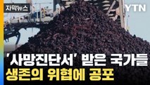 [자막뉴스] '사망진단서' 받은 섬나라 국가들?...생존 위협에 '공포' / YTN