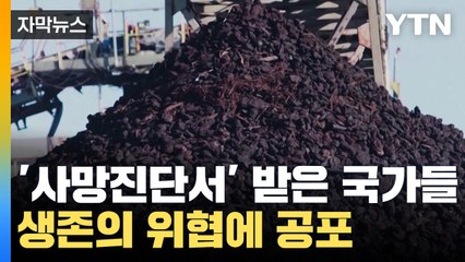 [자막뉴스] '사망진단서' 받은 섬나라 국가들?...생존 위협에 '공포' / YTN