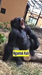 Akibat Diputuskan Pacar, Nekat Makan Diatas Motor