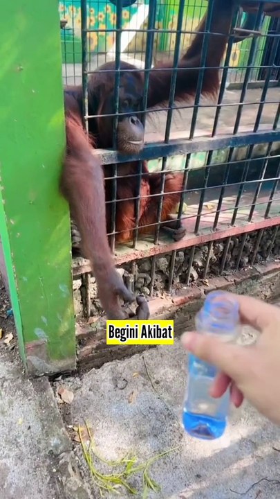 Mobil Kesenggol Dikit Langsung Rusak Parah