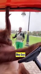 Menjemput Selingkuhan Yang Kaya Raya Ketahuan Suaminya