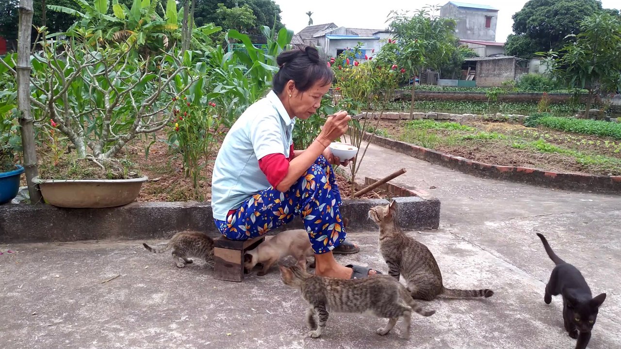 farmer and meow meow