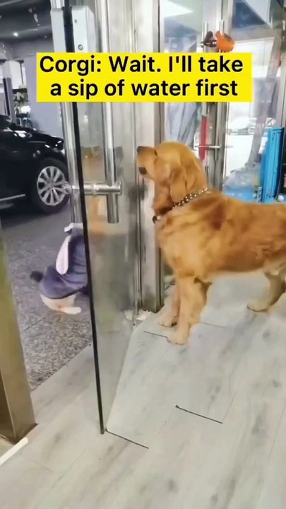 5 sec Water Drinking Break