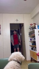 Mi perro Simba prepara chocolate casero