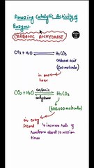 role of carbonic anhydrase enzyme in hindi