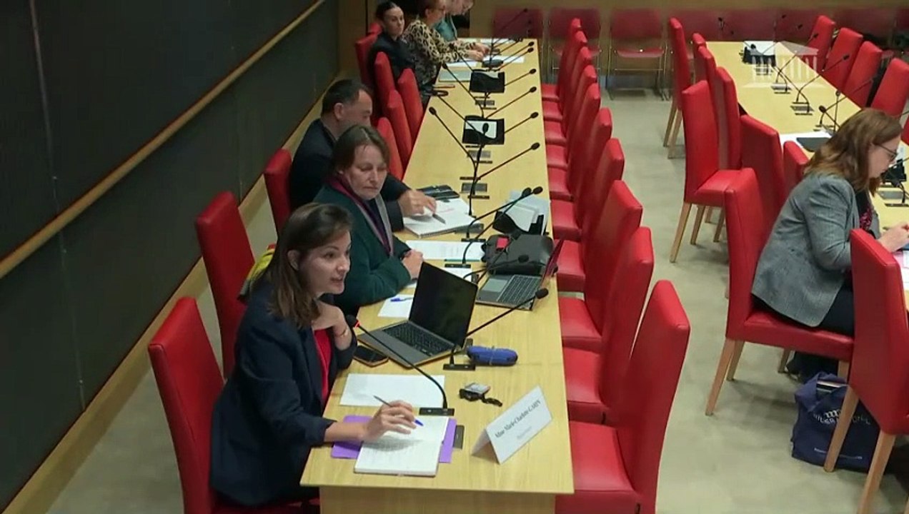 Délégation aux droits des femmes : Auditions diverses dans le cadre de la mission d’information sur la définition pénale du viol  - Mardi 12 décembre 2023