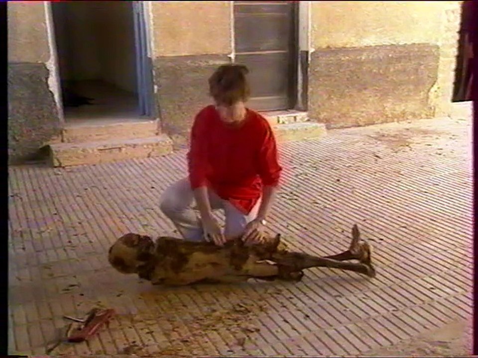 Les Nouveaux Mondes - Pompéi