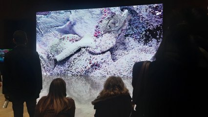 “Rumi Rüyaları” sergisi Atatürk Kültür Merkezi’nde!