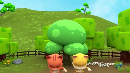 Little Cat - Children's Music - Two Cats playing soccer