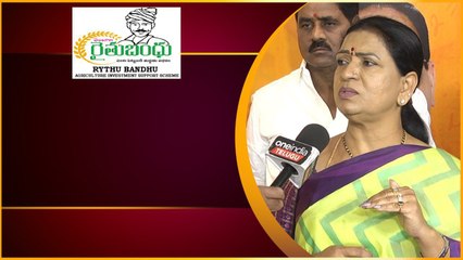 Lokasabha Elections లో  BJP గెలిచే సీట్లు ఎన్నంటే ? | DK Aruna | Telugu Oneindia