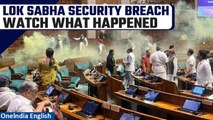 Lok Sabha Security Breach: 2 intruders jump from gallery, spray gas | Watch | Oneindia News