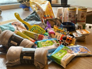 I ty możesz zostać KOTołajem