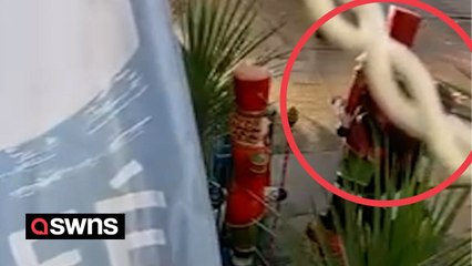 Moment thieves on bikes steal 6ft Nutcracker statue from restaurant
