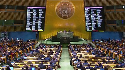 UN-Vollversammlung fordert humanitäre Waffenruhe für Gaza