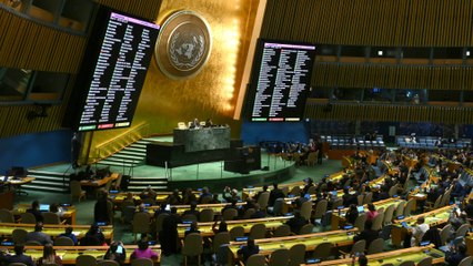 UN-Vollversammlung fordert humanitäre Waffenruhe für Gaza