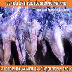Review Phim Người Hobbit Đại chiến với rồng lửa tập 5