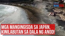 Mga mangingisda sa Japan, kinilabutan sa dala ng anod!  | GMA Integrated Newsfeed