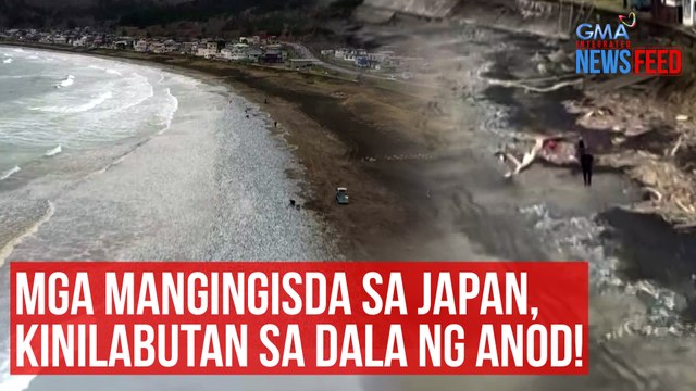 Mga mangingisda sa Japan, kinilabutan sa dala ng anod! | GMA Integrated Newsfeed