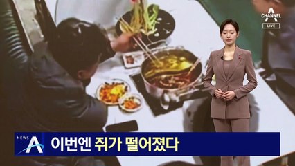 훠궈 먹는데 천장서 쥐가 ‘툭’…中, 또 위생 논란