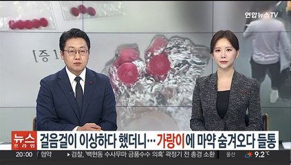 걸음걸이 이상하다 했더니…가랑이에 마약 숨겨오다 들통