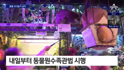 동물 카페서 ‘쓰다듬기’ 못 한다