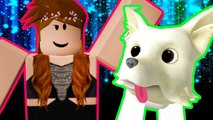 Evcil Hayvan Simülasyonu | Roblox  Pet Simulator