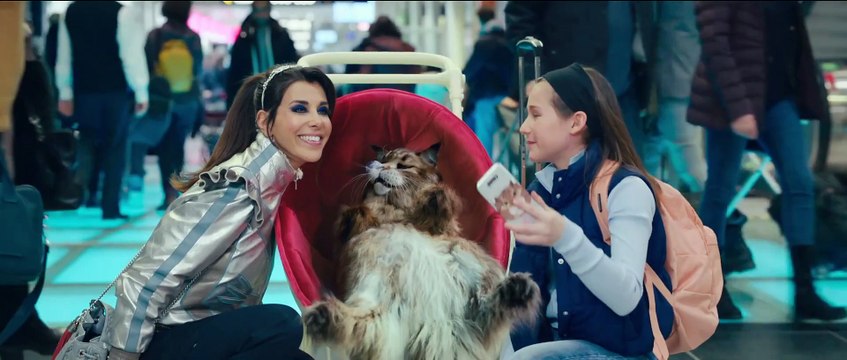 CHIEN ET CHAT Film Bande-Annonce