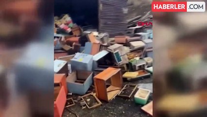 Ayılar Sivas'ta Arıcının Kovanlarını Parçaladı