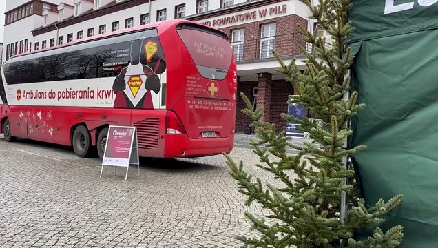 Choinka dla życia w Pile tuż przed oficjalnym startem ogólnopolskiej akcji