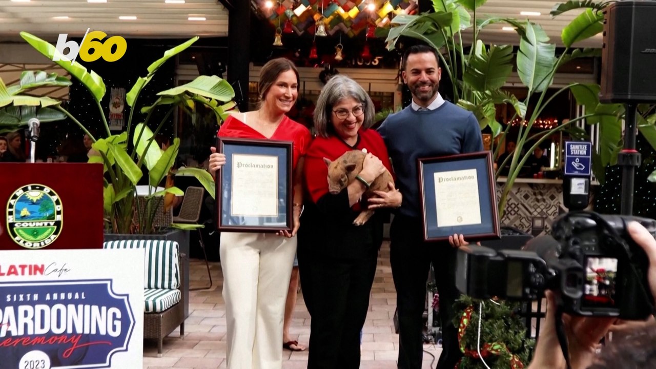 Florida Pig Pardoning Enters 6th Year of New Tradition