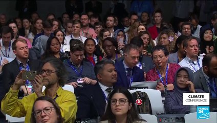 'Litany of loopholes' in COP28 agreement, Alliance of Small Island States says