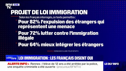 Loi immigration: qu'en pensent les Français?