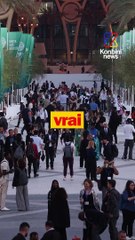 COP 28 : Un accord “historique” a été trouvé sur les énergies fossiles, vraiment ?