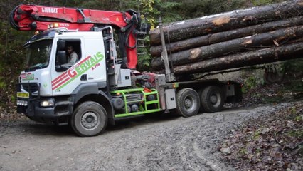 VOLVO FH16 _ �� GRUMIER - En immersion avec les Transport Gerv ais & Fils - Passages étroits
