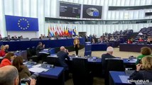 Fuori programma all'Europarlamento: un cane interrompe i lavori