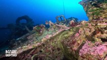 Mare dentro vi porta a bordo della Groppo e della Arturo Volpe