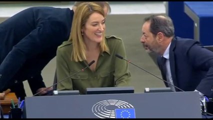 Fuori programma all'Europarlamento: un cane interrompe i lavori