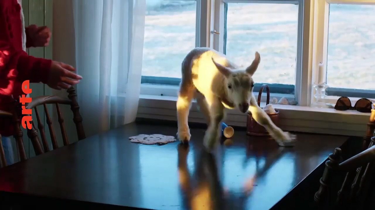 Sister, What Grows Where Land Is Sick? | movie | 2023 | Official Trailer