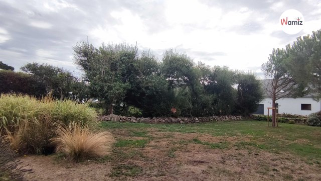 Im Gras versteckt sich eine Katze: Wer sie in weniger als 15 Sekunden sieht, ist ein Genie!