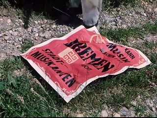 Die Bremer Stadtmusikanten | movie | 1959 | Official Trailer