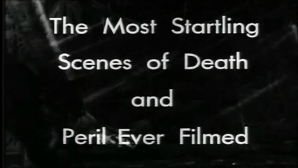 Jungle Bride | movie | 1933 | Official Trailer