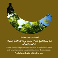 -ANDRÉS DE JESÚS VÉLEZ FRANCO- FRACTALES: UN AMPLIO REINO DE FORMAS Y PATRONES (PARTE 2) (@AndresdeJesus90)