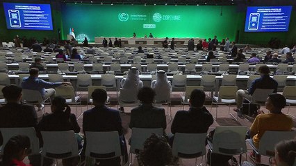 Reações à proposta da COP28